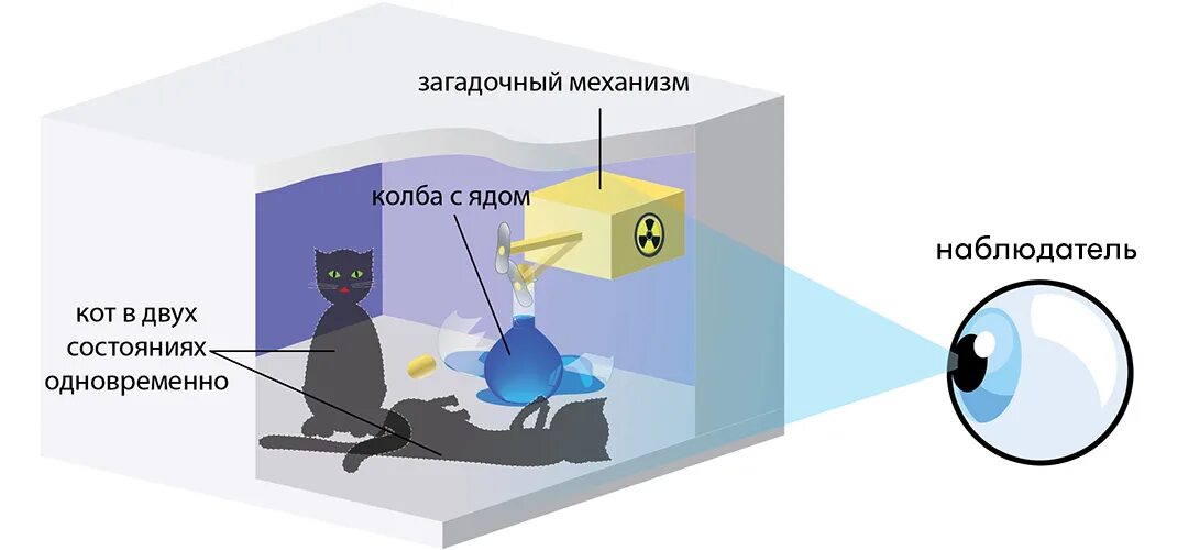 И жив и мертв одновременно. Эксперимент с кошкой Шредингера. Опыт Шредингера квантовая физика. Квантовая механика кот Шредингера. Кот Шрёдингера мысленный эксперимент.