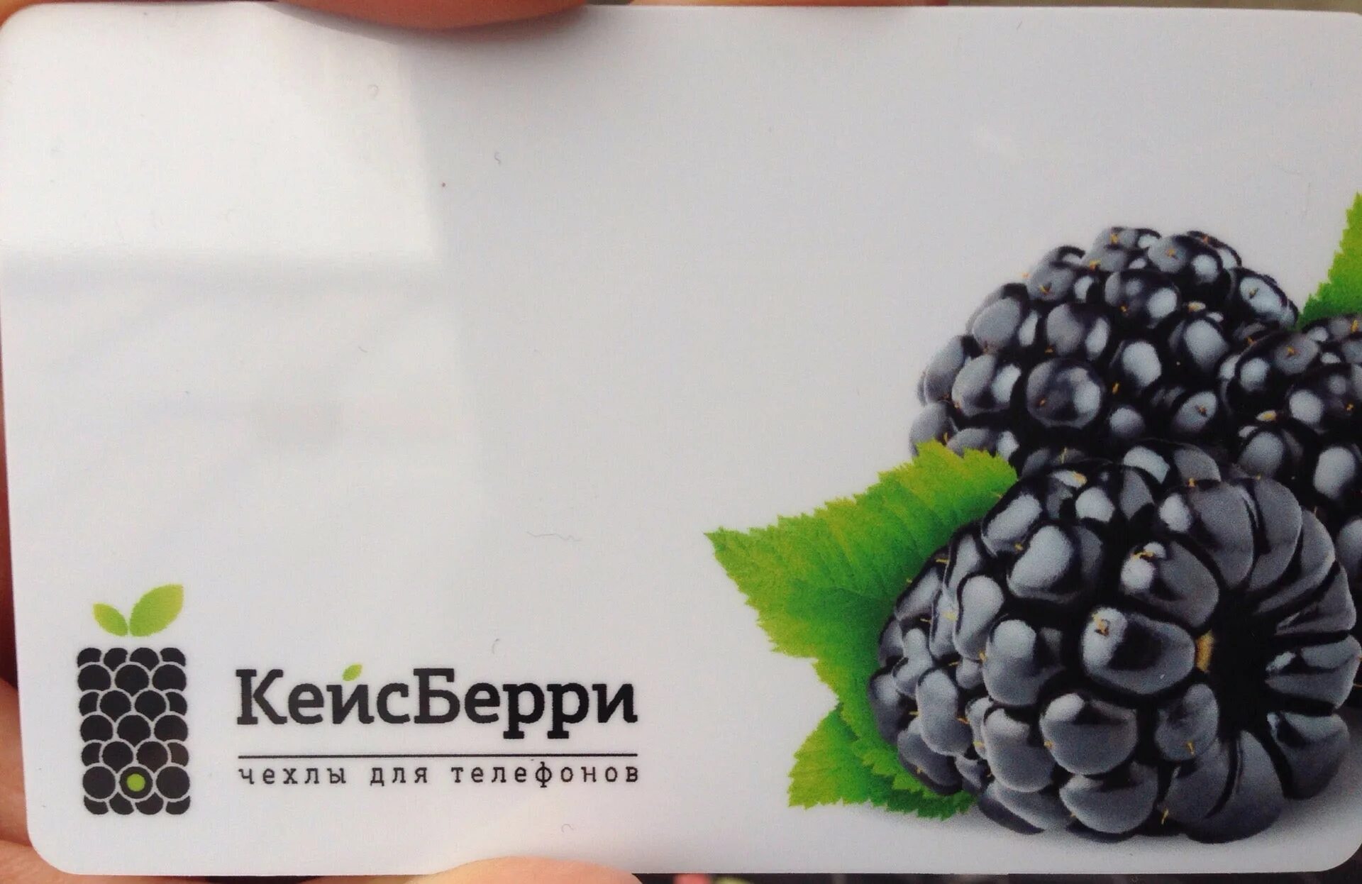 Почему кейсберри закрывают. Кейсберри. кейсберри краснодар. кейсберри интернет магазин. кейсберри лого.