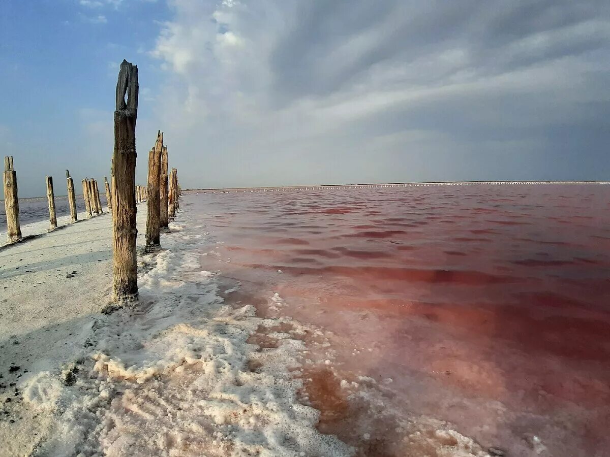 залив сиваш в крыму. озеро сасык сиваш евпатория. сасык сиваш грязь. розовое озеро сасык-сиваш. гнилое море в крыму.