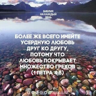 Любовь покрывает множество грехов