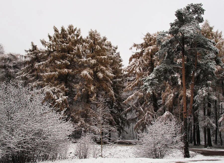 Снег седины слушать