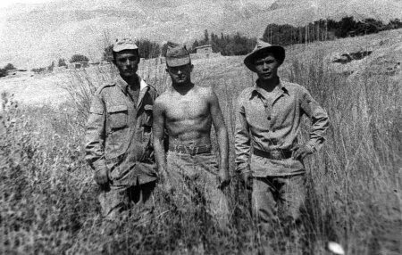 860 омсп