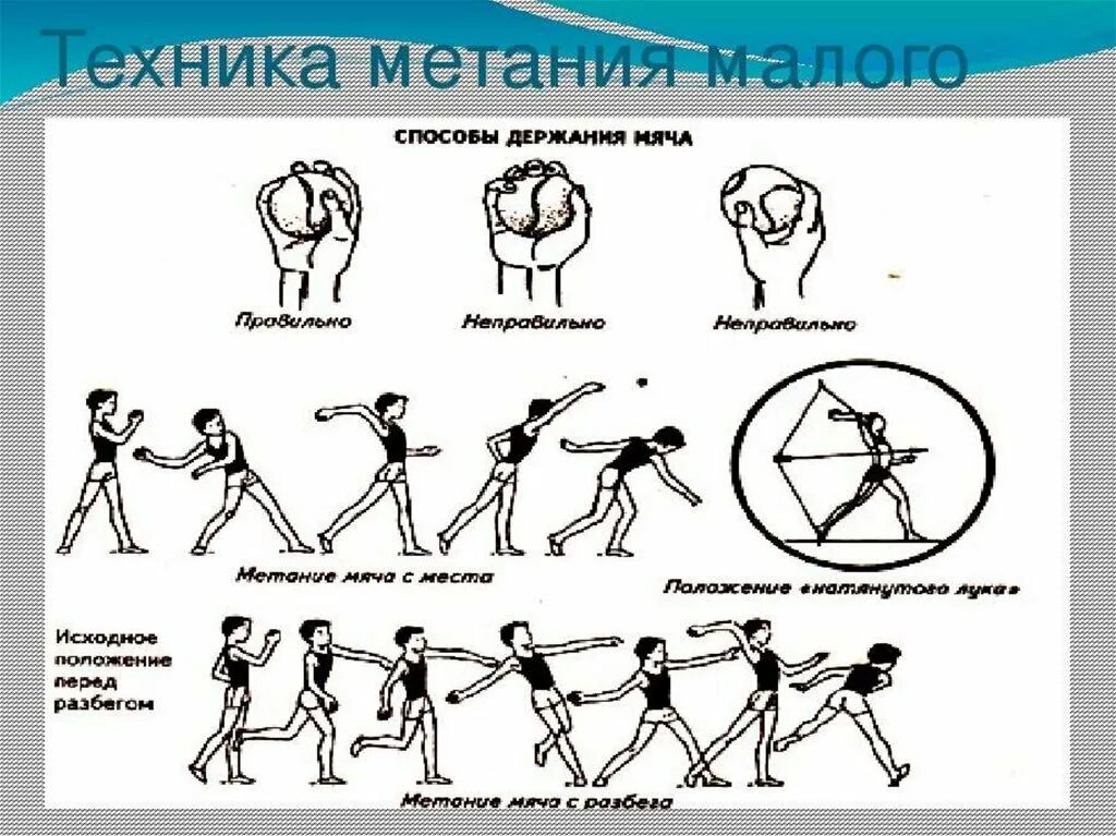 Техника метания мяча 150 гра. Техника метания мяча на дальность. Техника метания мяча на дальность с места. Метание малого мяча на дальность техника выполнения.