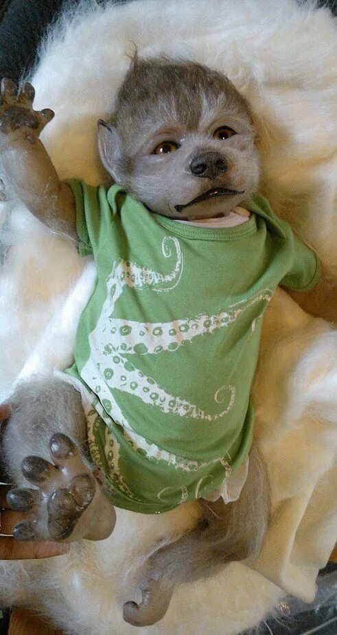 Куклы животные реборны. Реборн животные. Реборн животные. Реборны собачки. Реборн животные.