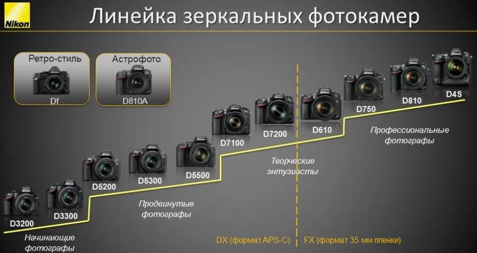 Характеристики фотоаппаратов nikon. Кэнон линейка зеркальных фотоаппаратов. линейка зеркальных фотоаппаратов nikon. никон линейка фотоаппаратов d300. линейка полнокадровых камер canon зеркальных.