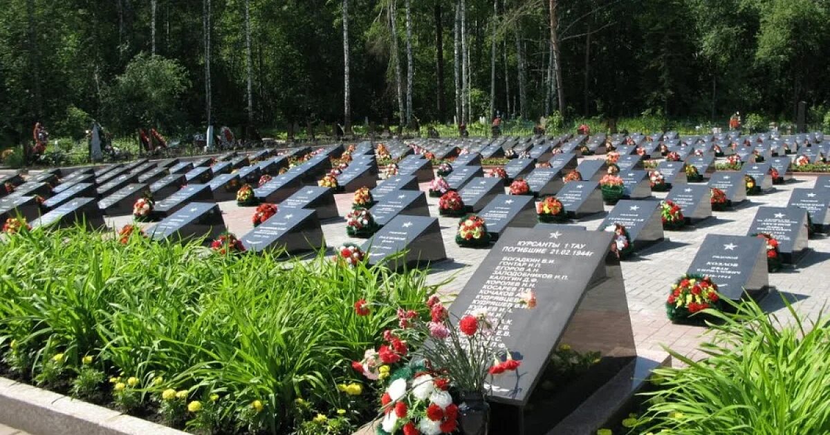 Военное кладбище новое. Федеральное военное кладбище в мытищах. Мемориальное кладбище в мытищах. Федеральное военное мемориальное кладбище. Военное кладбище в мытищах.