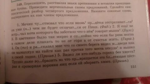 Глаза разбор 4