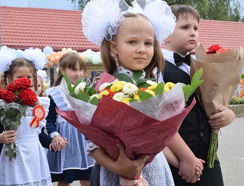 К новому учебному году мне купили две. 1 Сентября 2023. Букет для школьника на 1 сентября. Школа гимназия Верхнедонской район. Поповская школа Верхнедонской район.