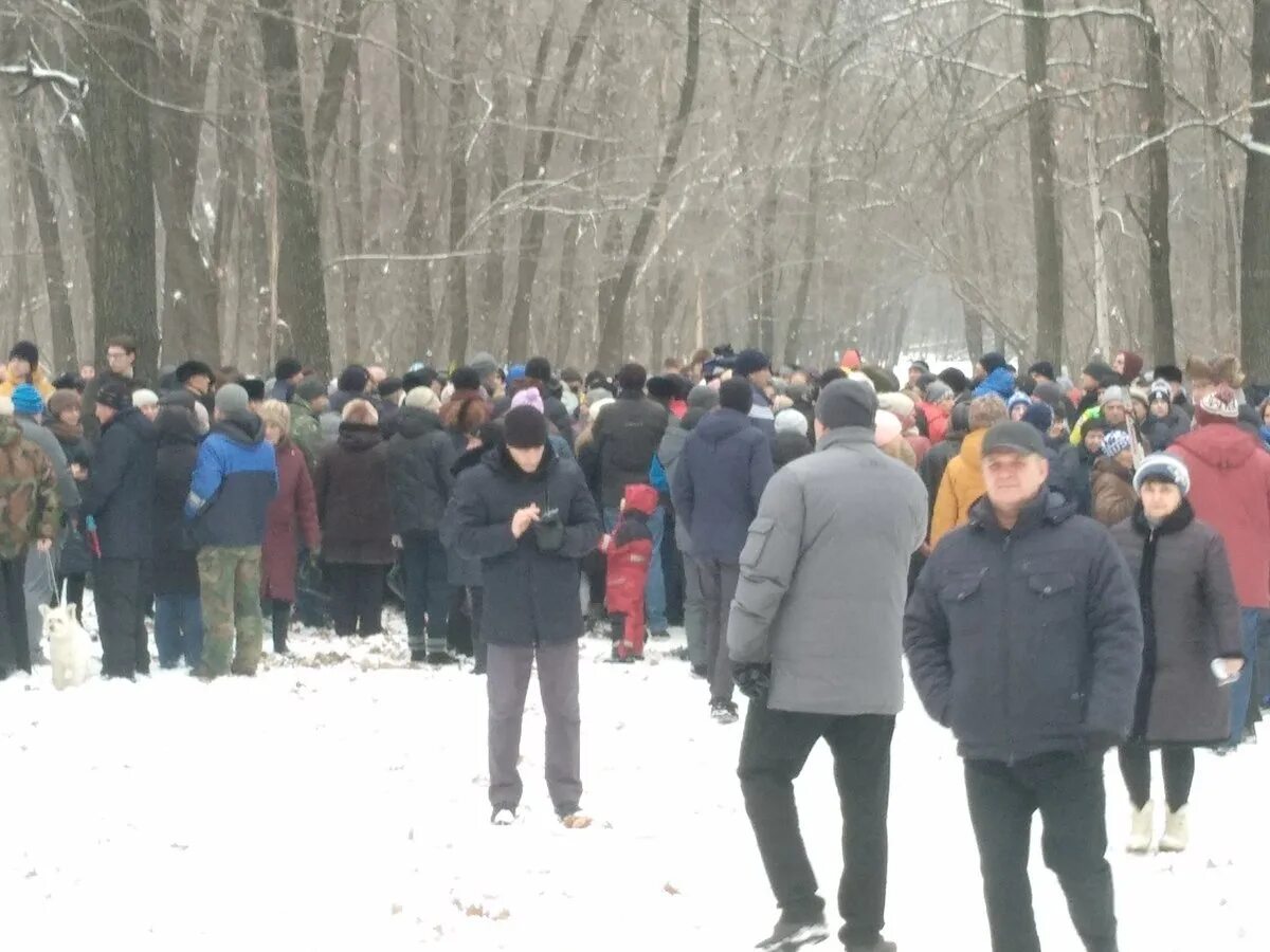 Самара парк советской власти. Парк 60 летия Советской власти Самара. Лесопарк 60-летия Советской власти в Самаре. Лесопарк 60 лет Советской власти Самара. Парк 60 лет Советской власти Самара где находится.