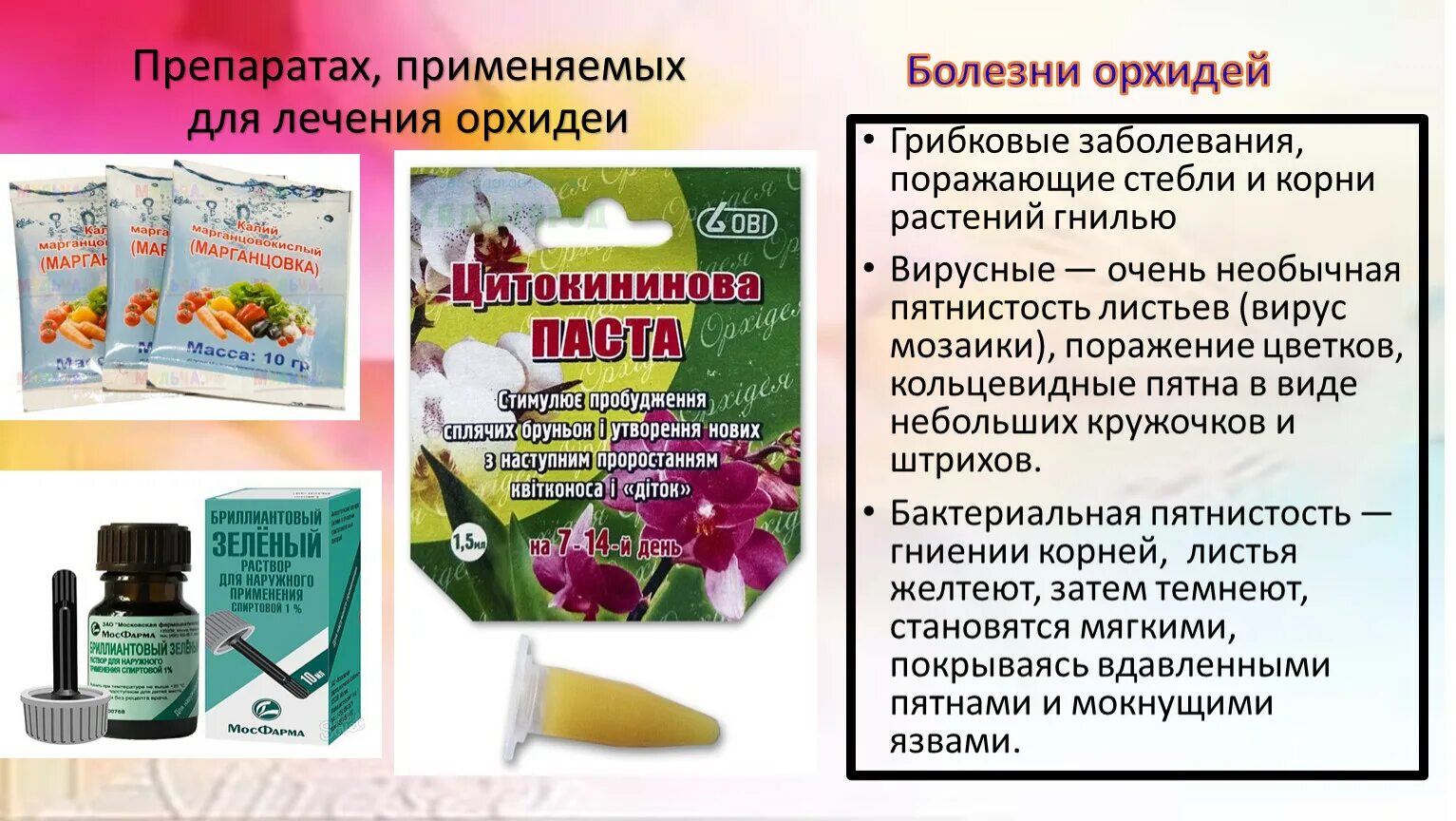 Орхидея препарат