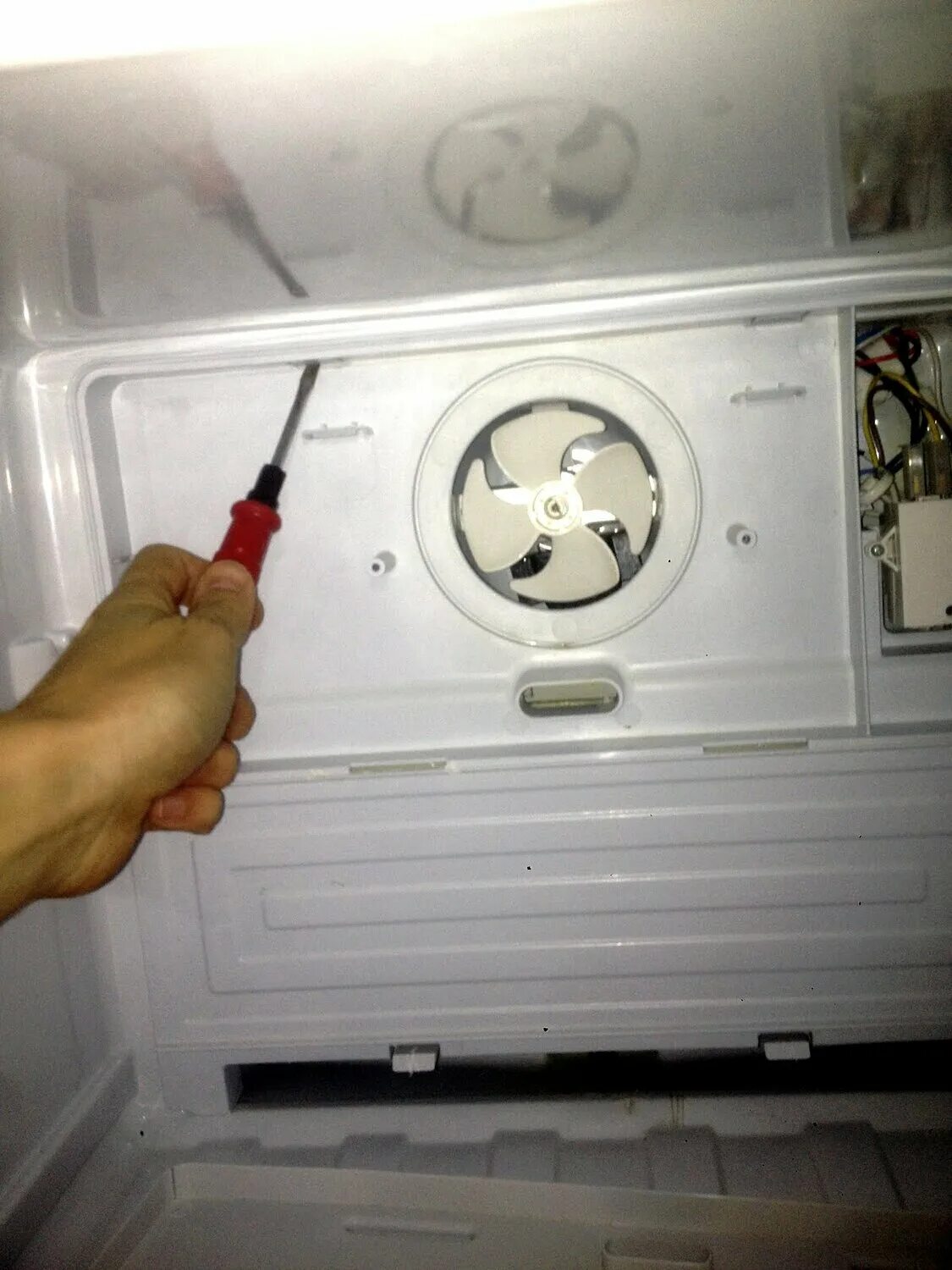 Light xtra холодильник индезит. холодильник индезит ноу фрост лампочки. холодильник индезит замена лампочки освещения. течет холодильник самсунг. холодильник индезит двухкамерный ноу фрост r600a.