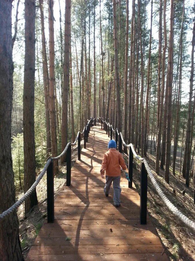 Балашиха лосиный. Дендрарий Балашиха Лосиный остров. Парк Лосиный остров Дендрарий. Лосиный остров национальный парк Балашиха. Тропа Дендрарий Лосиный остров.