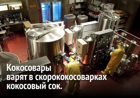 Кокосовары варят в скорококосоварках кокосовый сок