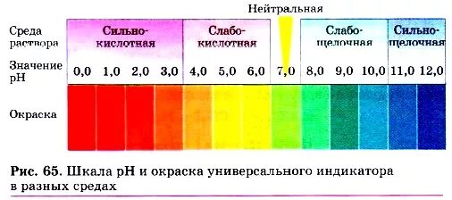 Нулевая среда. Шкала кислотности PH воды. Лакмусовая шкала PH. Шкала кислотности химия. Эталонная шкала PH универсального индикатора.