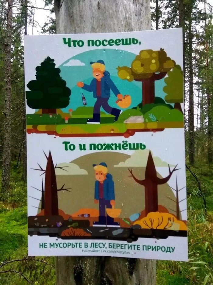 Посеем ищешь. Не мусорить в лесу. Табличка в лесу. Не мусорь в лесу. Не мусорьте в лесу плакаты.