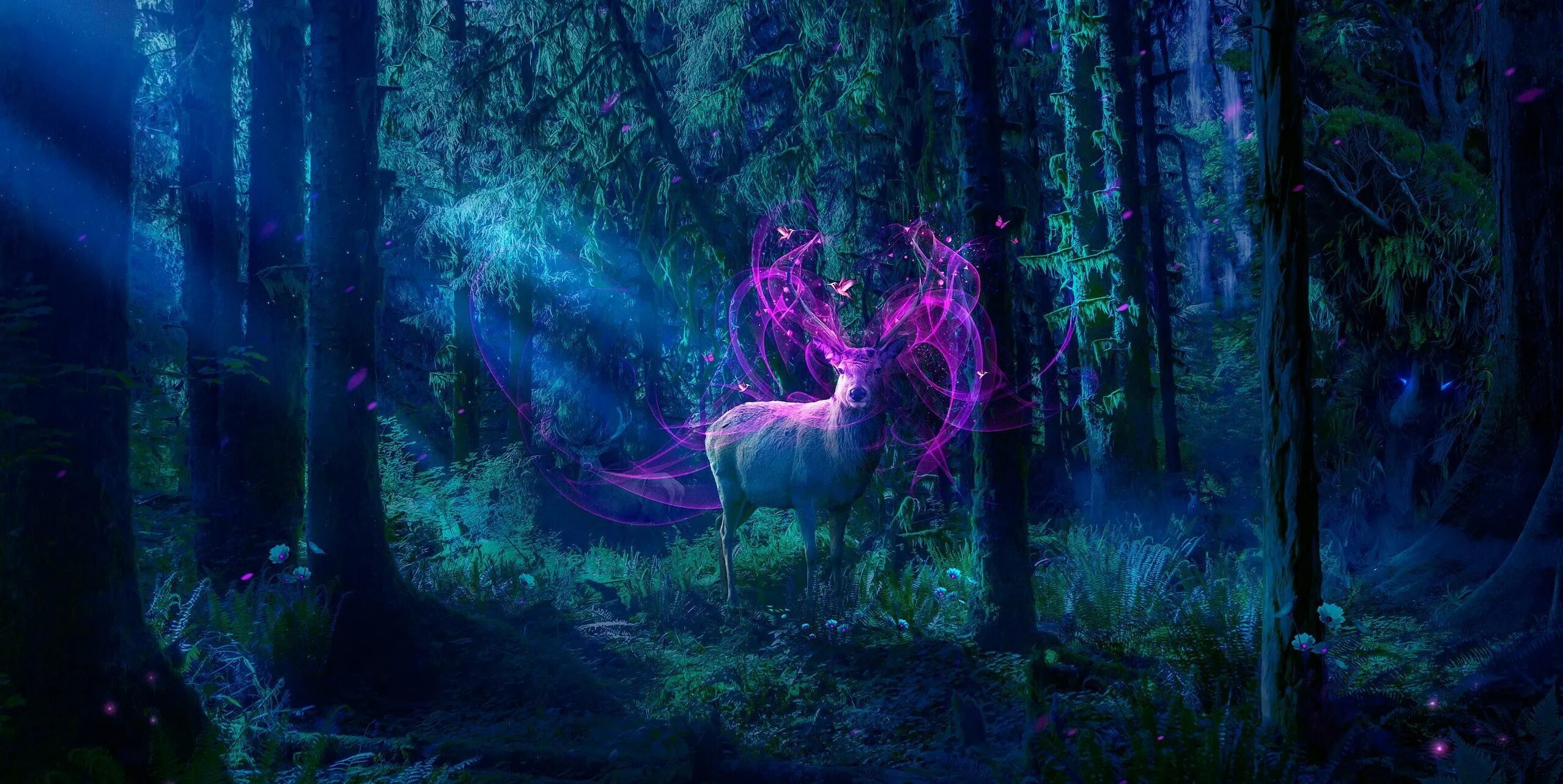 Сказочные леса. Зачарованный лес лавкрафт. Магический лес. Сказочный лес. Волшебство леса.