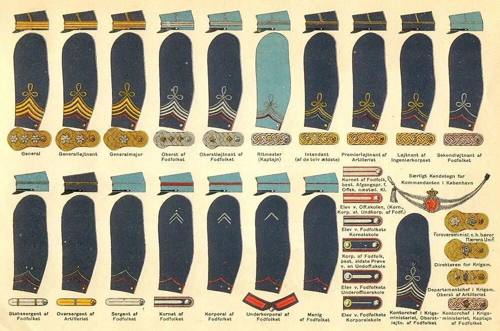 Rank Insignia. Знаки различия датской армии. Знаки различия французской армии 1914. Французские военные звания.