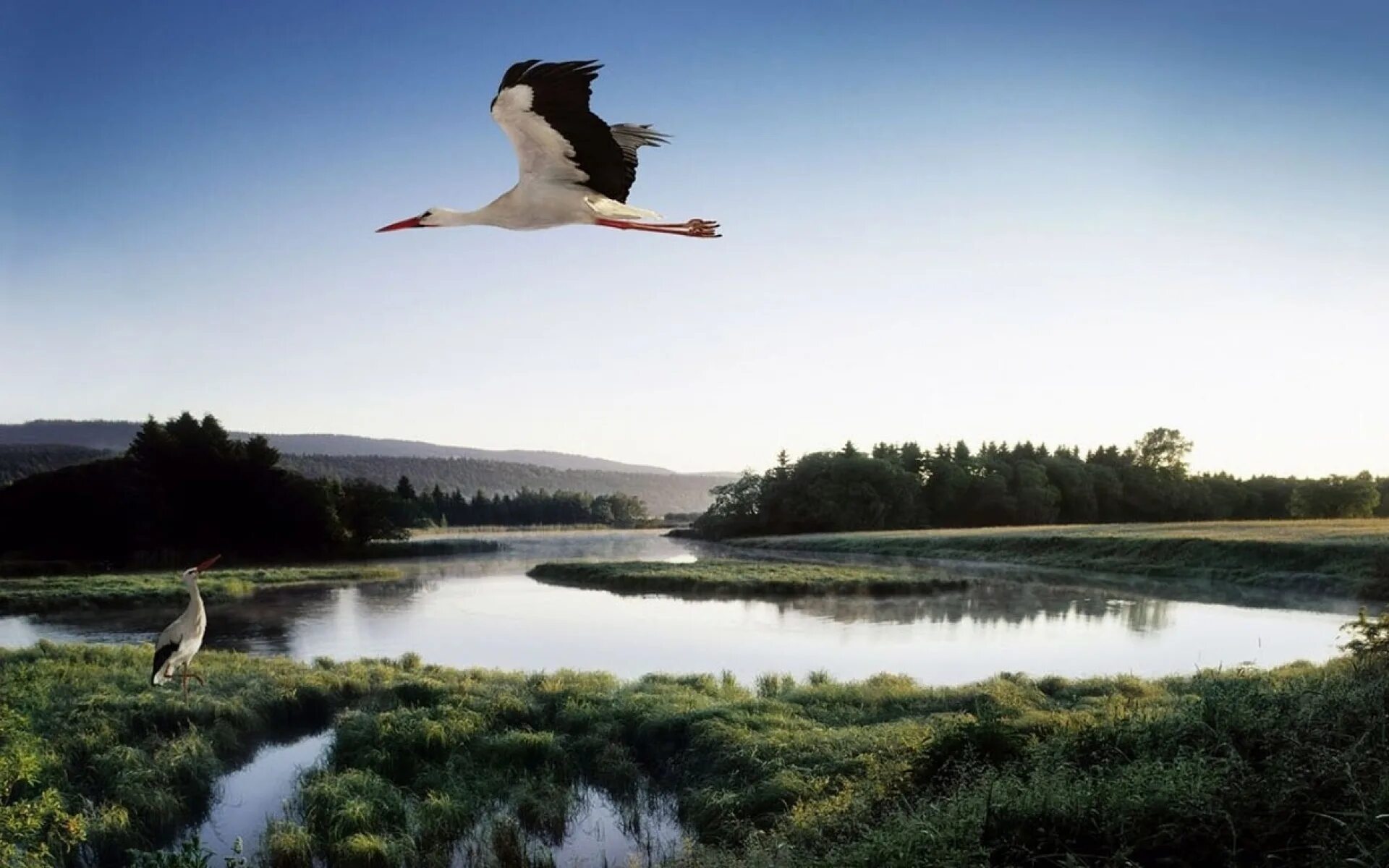 зямля мая беларуская. летние пейзажи беларуси. беларуския краявиды верш. пейзаж с аистами. полесье аисты.