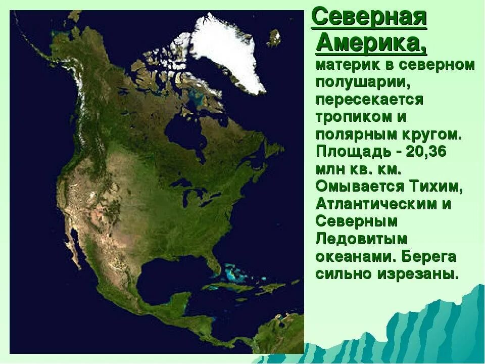 Площадь северной америки с островами. Северная Америка материк. Геоконтур континента Северная Америка. Площадь материка Северная Америка. МАТЕРИИК серная Америка.