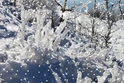 глубокие пушистые снега. снег фон. снег искрится. заснеженное окно. белый как снег с блестящими глазками с черным носом и черными.