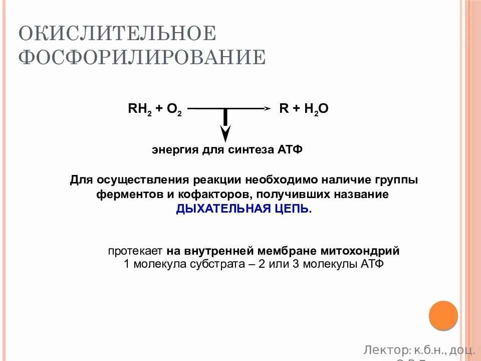 Окислительное фосфорилирование образование АТФ. Окислительное фосфорилирование это Синтез АТФ. Синтез АТФ биохимия окислительное фосфорилирование. Синтез АТФ путем окислительного фосфорилирования. Окислительное фосфорилирование этап гликолиза