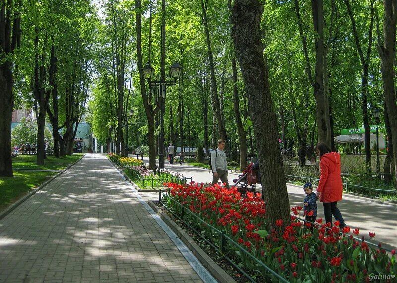 Бабушкинский сад. Бабушкинский парк Москва. Москва улица Менжинского 6 Бабушкинский парк. Бабушкинский ПКИО В Москве. Парк в Бабушкинском районе.