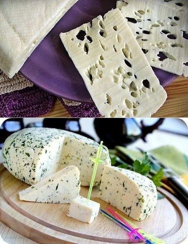 Домашний сыр из молока. Домашний сыр из творога. Адыгейский козий сыр. Домашний сыр из творога. Tomme козий сыр.