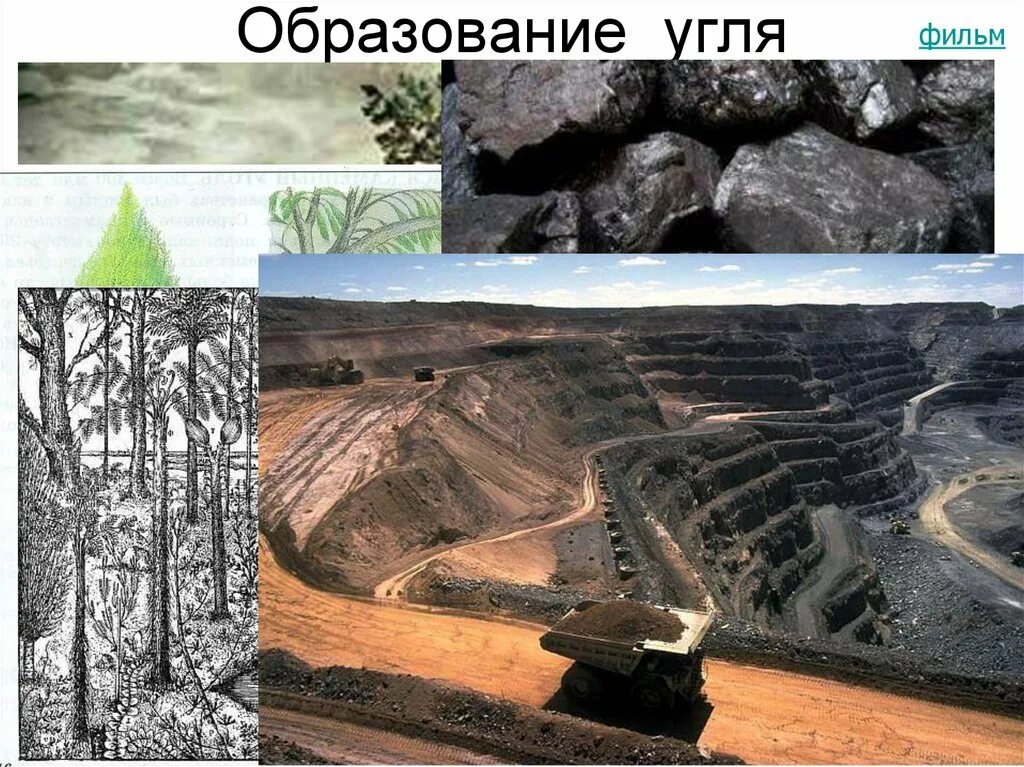 Уголь образовался в результате. Образование угля. Образование каменного угля. Образование угля в природе. Этапы образования угля.