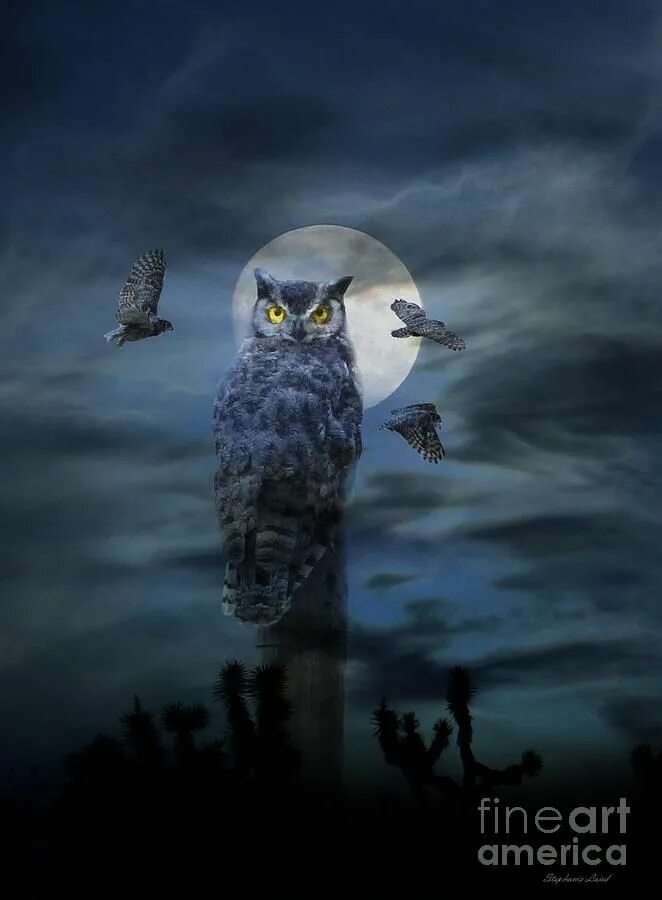 Ночные совы и летнее небо читать. Сова ночью. Сова и Луна. Сова ночью живопись. Сова на фоне Луны.
