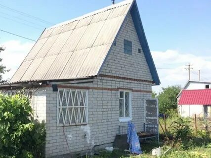 Дачная поль