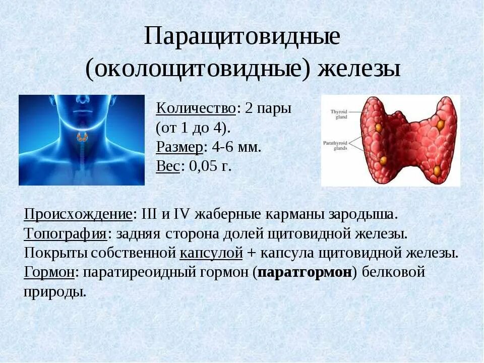 Рак щитовидной сколько живут