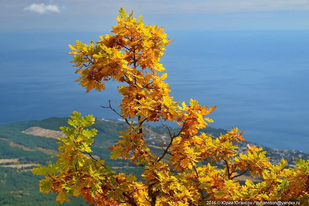 Солнечные дни в крыму. Осенний Крым Ореанда. Черное море осенью. Турция. Осеннее море. Осень на море.