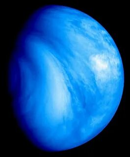 Venus des