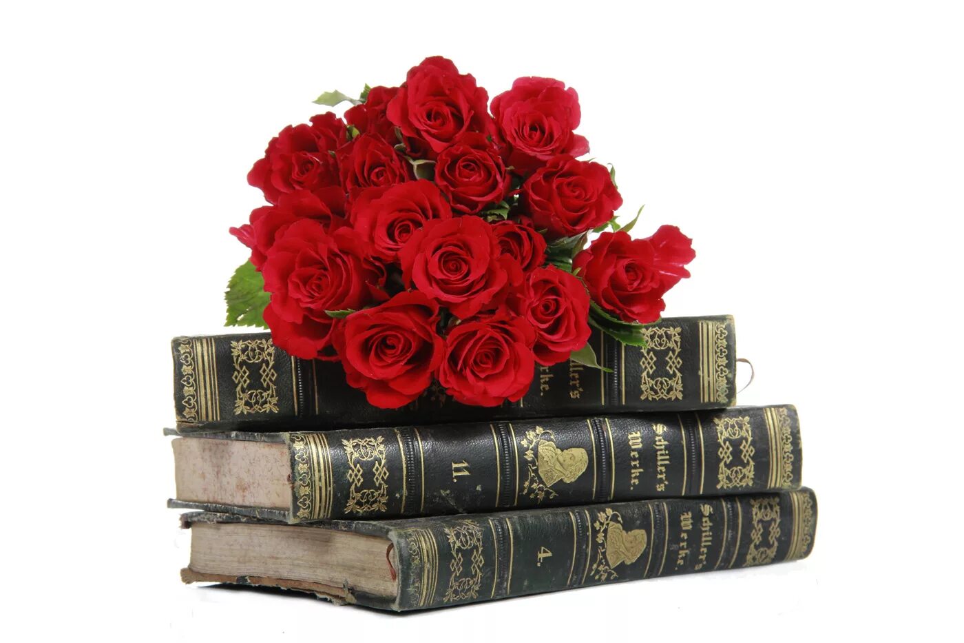 Рождение библиотеки. Книга цветы. Стопка книг с цветами. Букет цветов и книга. Букет с книгой.