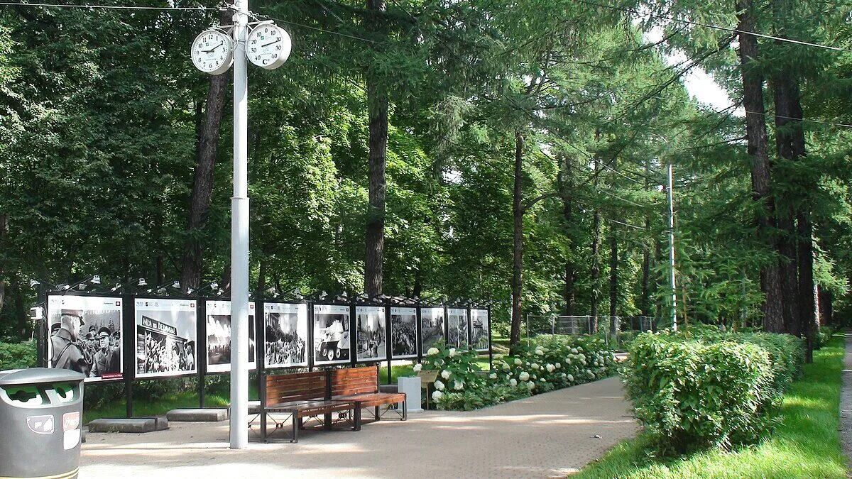 Митьковский проезд сокольники. Парк сокольники майский просек. майский просек в парке сокольники. майская аллея сокольники. парк сокольники 19 век.