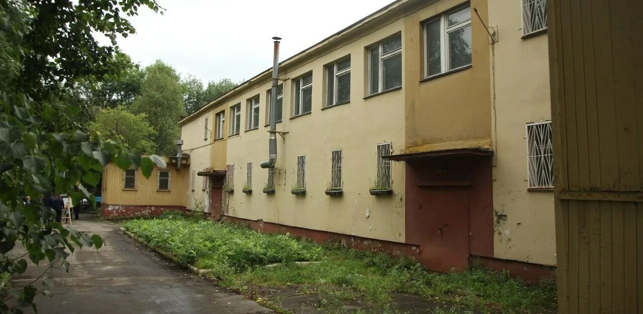 Рысь для детского сада. Рысь в череповце. Рысь в детском саду в череповце. Рысь в детском саду в череповце. Рысь в ивановской области.