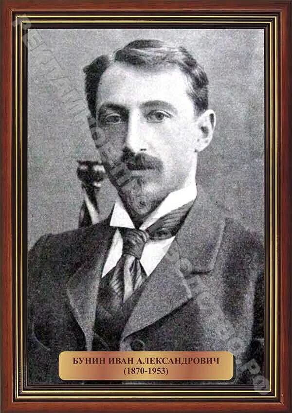 Бунин о писателях. Бунин а н. Бунин а н. Бунин портрет. Портрет бунина.