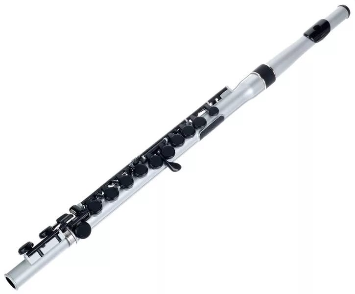 Флейта купить. Флейта Nuvo student Flute 2.0. Флейта Nuvo. Флейта Nuvo JFLUTE White Blue. Флейта Nuvo JFLUTE Black Black.