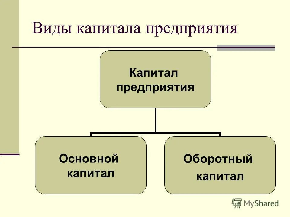 Капитал компании виды