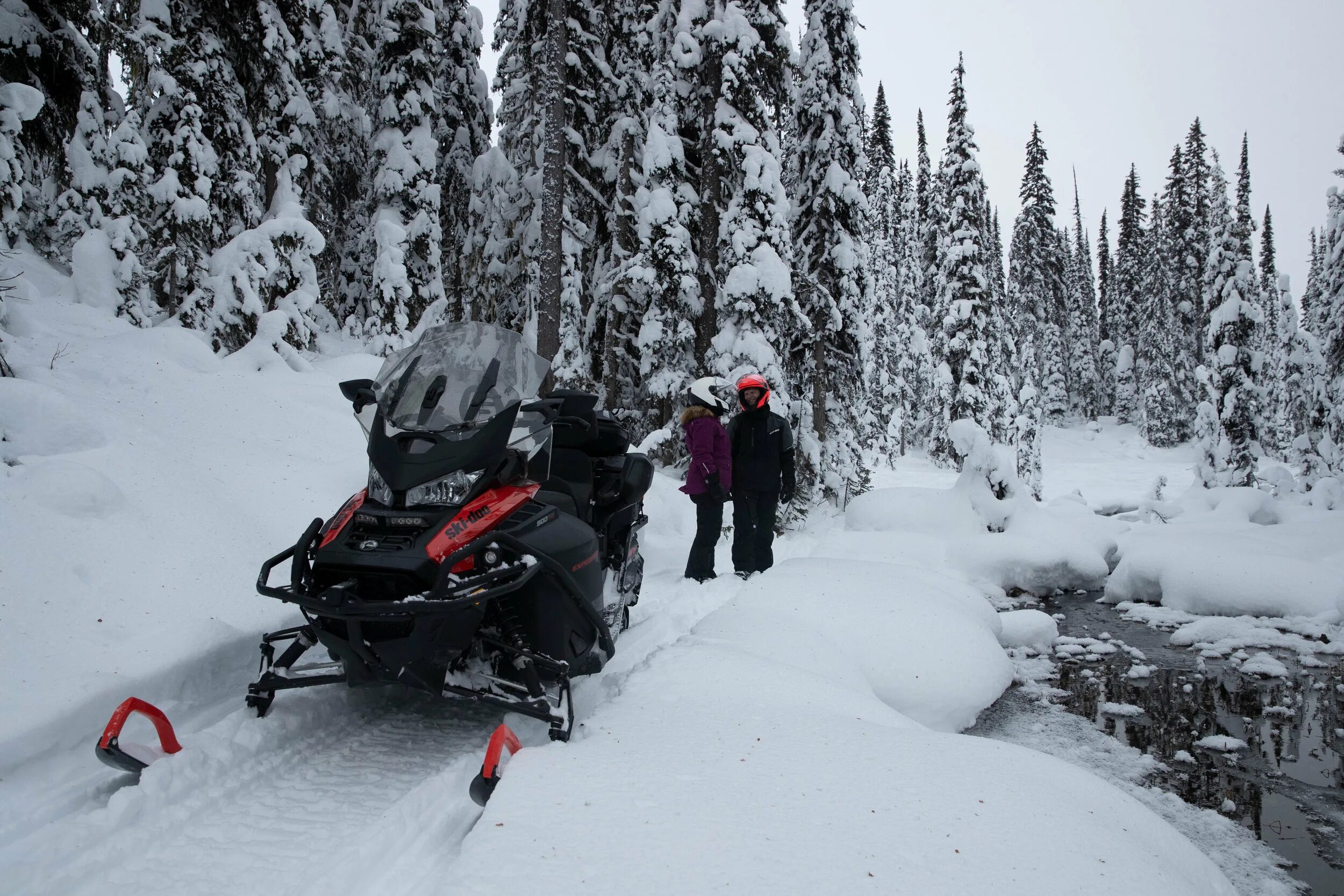 BRP Expedition 900 Turbo. BRP Expedition se 900 Ace Turbo 2020. Ski Doo Expedition 2023. Ski doo expedition se