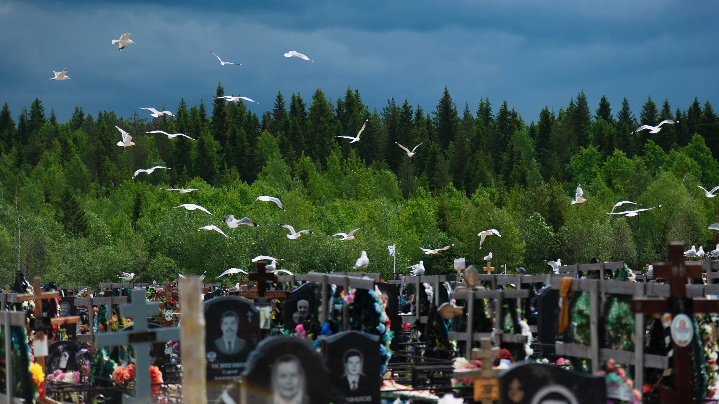 Кладбище. Огромное кладбище. Украинские кладбища. Свежие кладбища в России. Изменения 17 июля