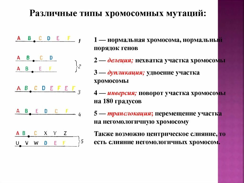 Пример делеции в хромосомной мутации. Пример делеции в хромосомной мутации