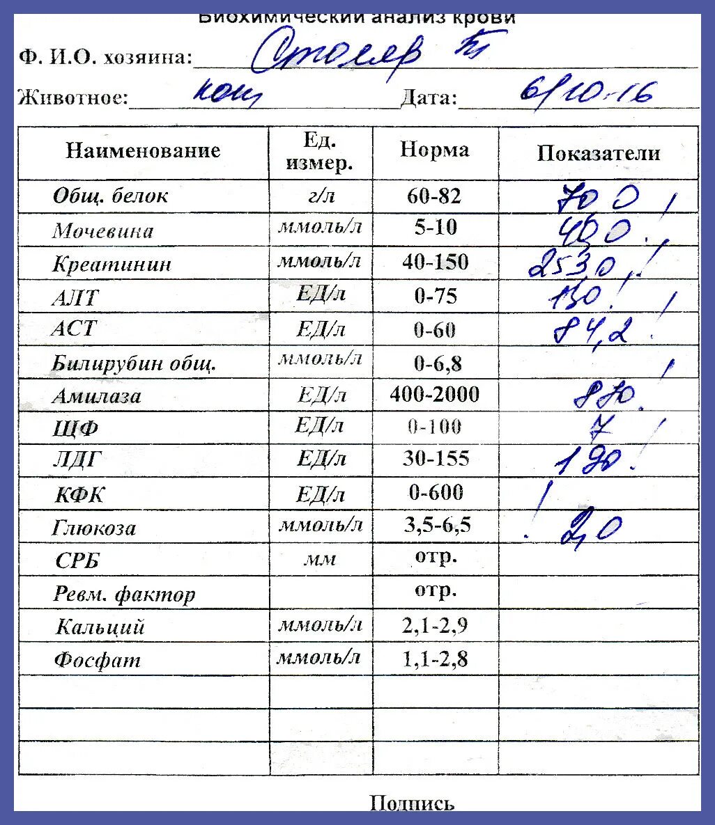 Хорошие биохимические анализы крови