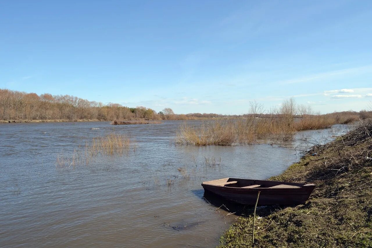 Уровень воды в реке сура. Река Сура Ульяновская область. Сура Алатырь. Исток реки Сура. Река Сура Ульяновская область Сурские вершины.