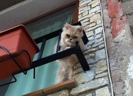 Улетел балкон