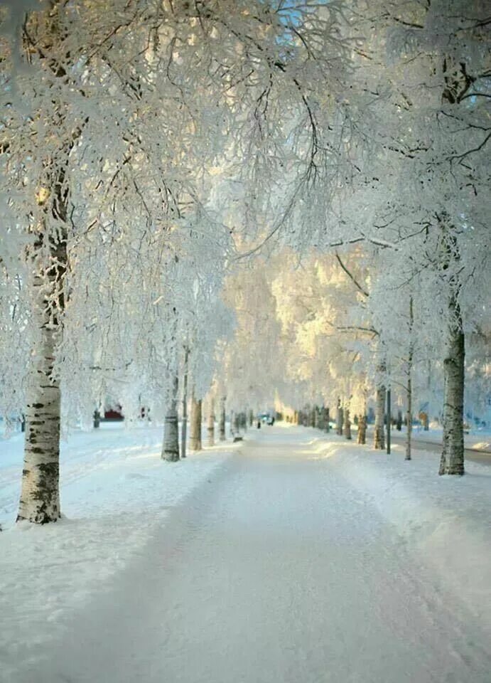 Snow is beautiful. Снежная зима. Красивая зима. Зимний парк. Красивый снегопад.