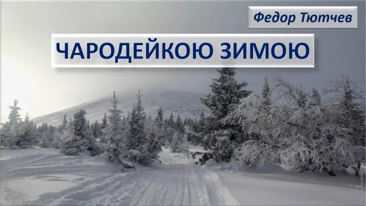 Тютчев чародейкой. Чародейкою зимою. ф тютчев чародейкою зимою. чародейкою зимой. фёдор тютчев стих чародейкою зимою.