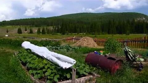 Погода в бирюльки иркутская область