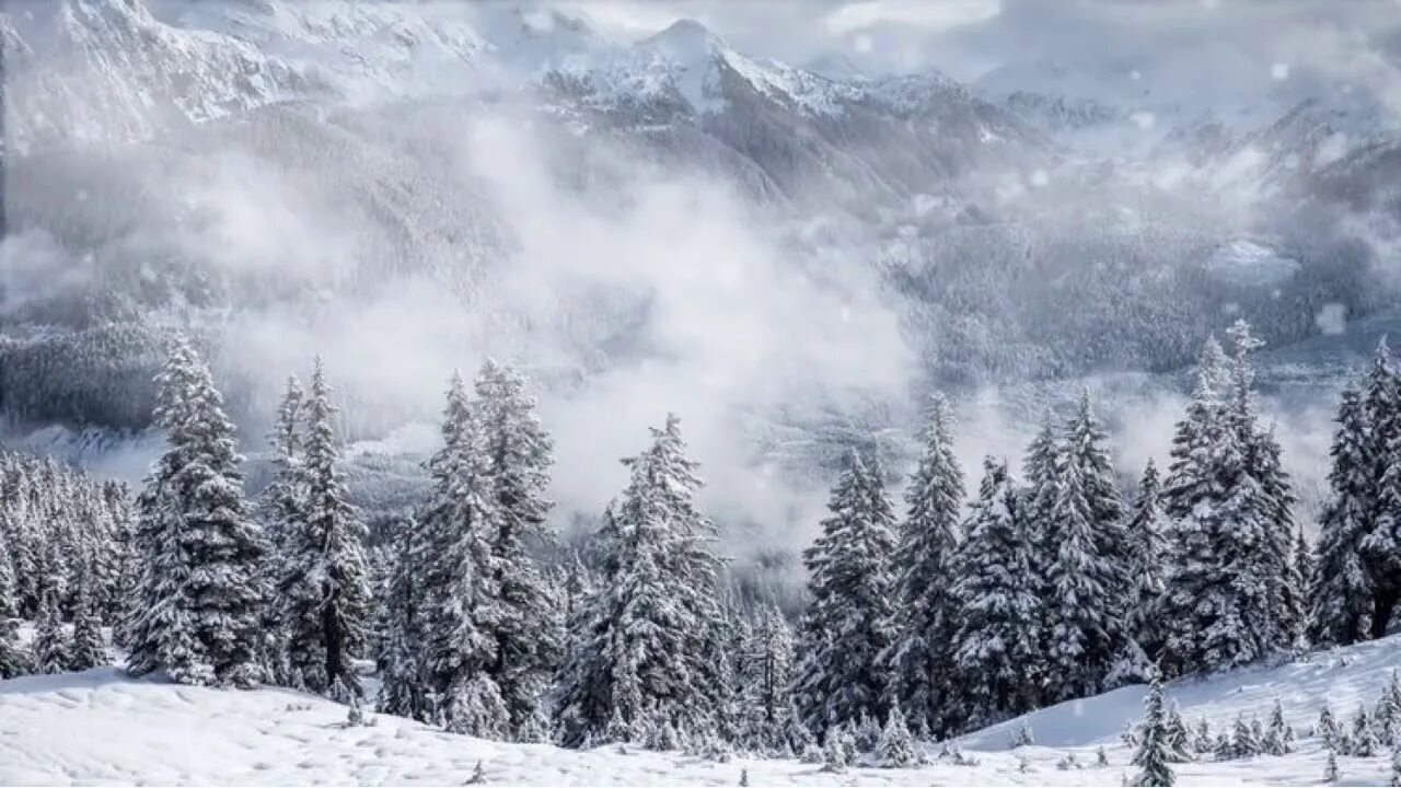 Windy winter. Звук метели. Метель и вьюга. Звук снежной бури. Пурга шум.
