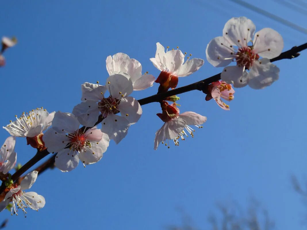 Доброе весеннее утро. Апрель природа. Весенняя природа. Рассвет ранней весной. Утро апрель.